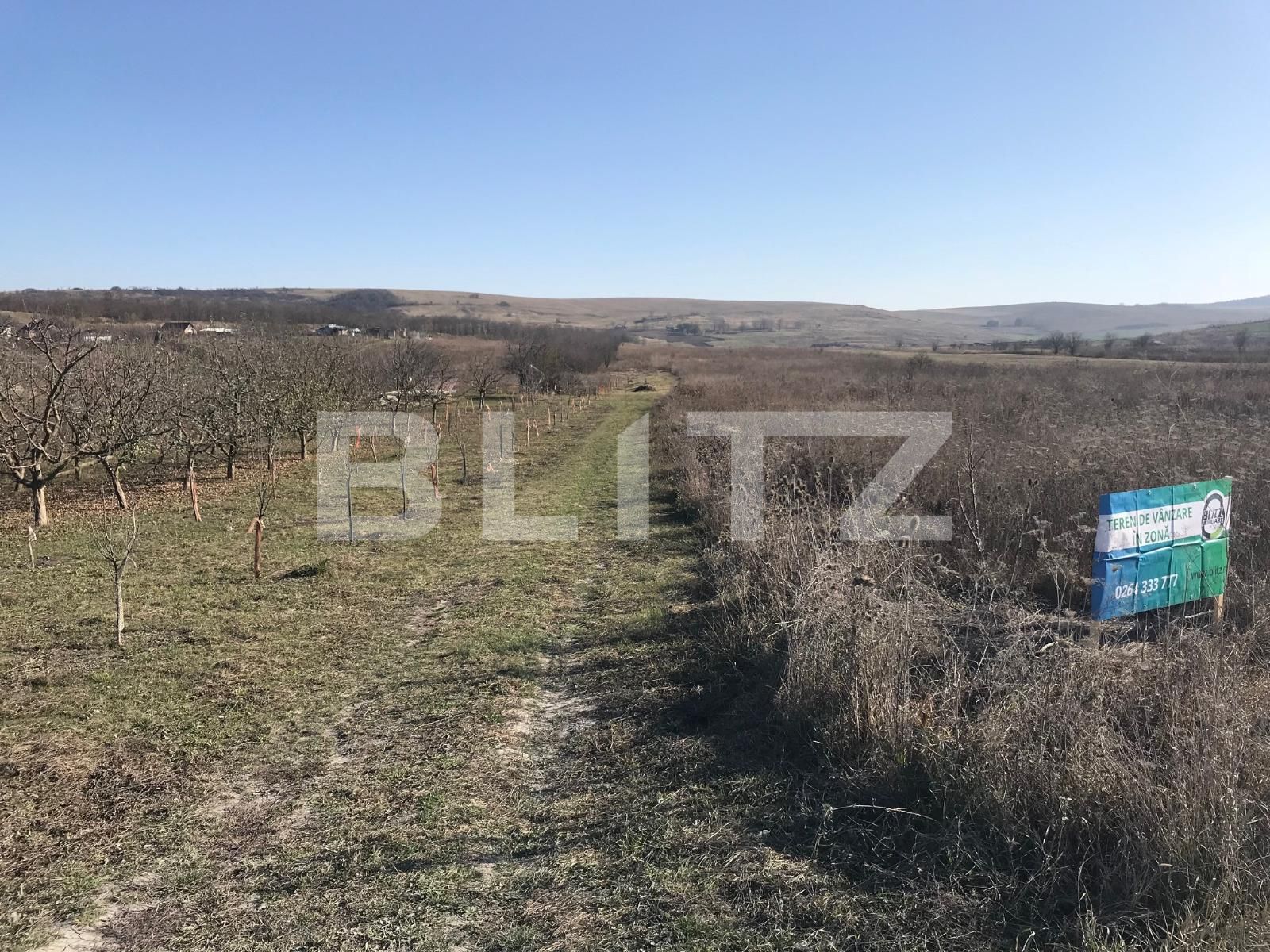 Teren de vânzare Sopor - 35376TV | BLITZ Cluj-Napoca | Poza4