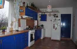 Casa unifamiliala, 250 mp utili, teren de 830 mp, zona Stadionului CFR