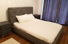 Apartament 2 camere, 62 mp, TOTUL NOU, zona strazii Traian