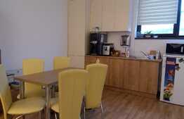 Spatiu birouri, 35 mp, zona Tetarom