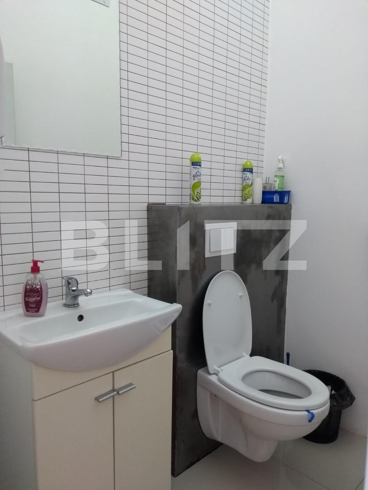 Spațiu birouri de închiriat Baciu - 35391SIB | BLITZ Cluj-Napoca | Poza19