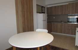 Apartament 1 camera modern , 43 mp, la prima inchiriere, in Sunny Hill Residence