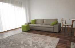 Apartament 1 camera modern , 43 mp, la prima inchiriere, in Sunny Hill Residence