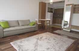 Apartament 1 camera modern , 43 mp, la prima inchiriere, in Sunny Hill Residence