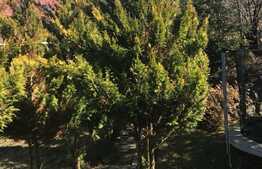 Casa individuala de vanzare, 220 mp utili, teren 650 mp, zona de case!