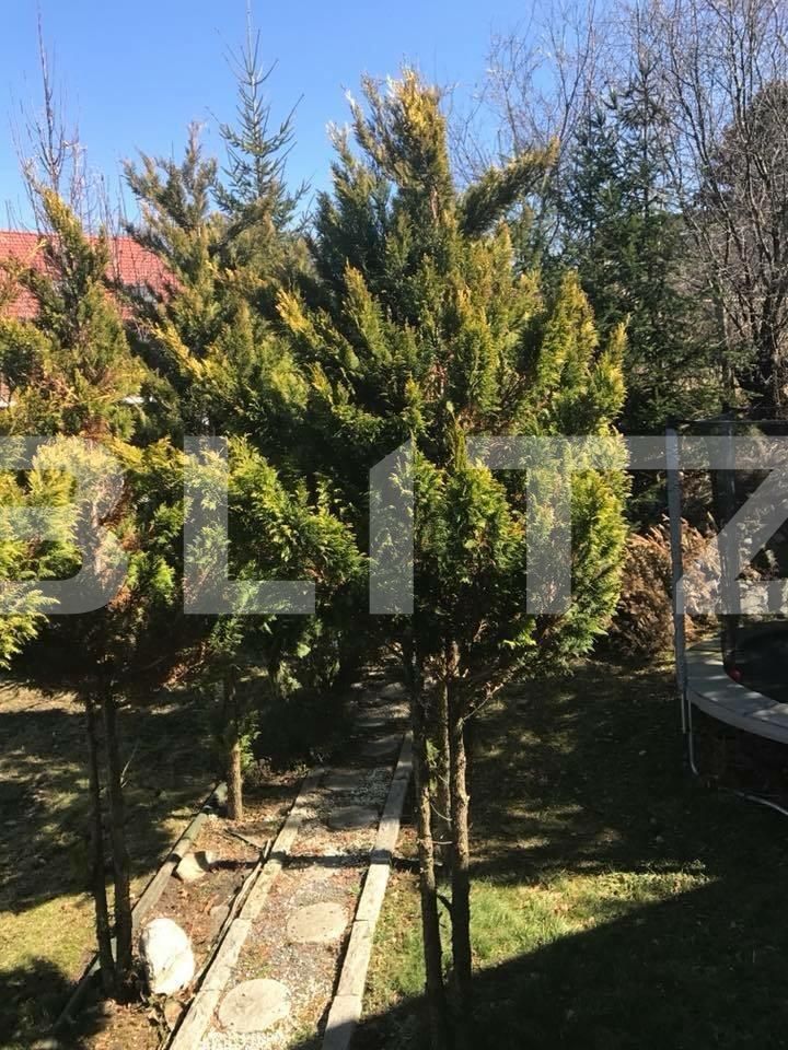 Casa de vânzare 4 camere Făget - 35413CV | BLITZ Cluj-Napoca | Poza3