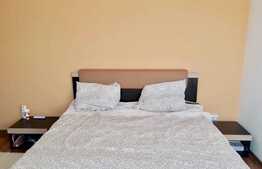 Apartament 2 camere, 45 mp, parcare! Zona strazii Teilor!