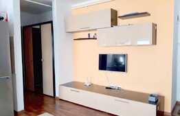 Apartament 2 camere, 45 mp, parcare! Zona strazii Teilor!