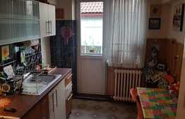 2 camere decomandat, 55.20 mp, panorama, garaj, boxa, zona strazii Emil Racovita!