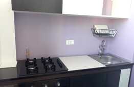 Garsoniera, 30 mp, mobilata modern, zona Big