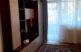 Apartament 2 camere, 55 mp, decomandat, zona strazii Slanic