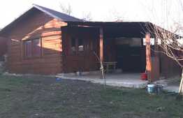 Casa 200 mp, 4 camere, 1000 mp teren, prima inchiriere, zona Valea Chintaului