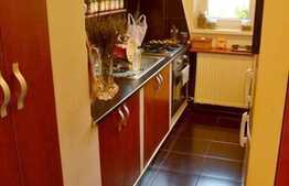 Apartament cu 2 camere la 5 minute de Profi