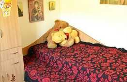 Apartament cu 2 camere la 5 minute de Profi