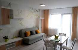 2 camere, 56 mp, totul nou, prima inchiriere, zona Facultatii de drept Dimitrie Cantemir