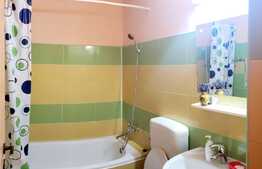 Apartament 1 camera, 42 mp, zona Garii