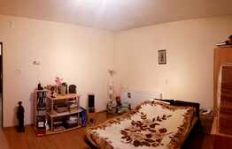 Apartament 1 camera , 39 mp, zona Autogarii Beta