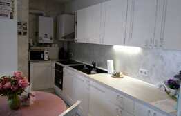 Apartament 2 camere, 43 mp, zona strazii Borhanciului