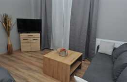 Apartament 1 camera, 38 mp, mobilat modern, A.C. imobil nou, Complex Park Lake