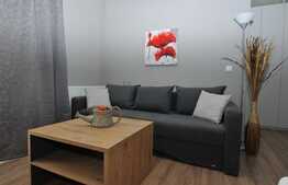 Apartament 1 camera, 38 mp, mobilat modern, A.C. imobil nou, Complex Park Lake