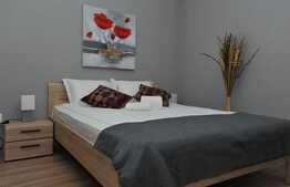 Apartament 1 camera, 38 mp, mobilat modern, A.C. imobil nou, Complex Park Lake