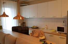 Apartament 3 camere, 75 mp, imobil nou, mobilat modern, zona Iulius Mall