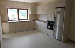 Duplex de inchiriat, 3 camere, 165 mp, teren 300 mp, zona strazii Eugen Ionesco