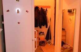 Apartament de vanzare 2 camere renovat integral