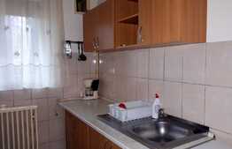 Apartament 2 camere, 55 mp, decomandat, zona strazii Unirii