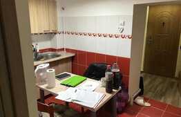 Garsoniera de vanzare,  29,31 mp utili, zona Centrala