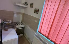 Apartament 1 camera, 35 mp, decomandat, prima inchiriere, zona strazii Horea