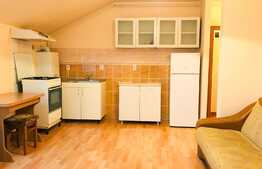 Apartament 2 camere, 42 mp, mobilat, zona Expo Transilvania