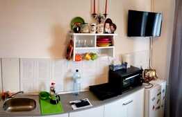 Garsoniera mobilata modern,11 mp, zona strazii Brancusi 