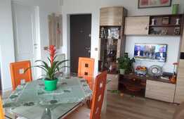 Apartament de inchiriat, 2 camere, 40mp, terasa 46mp!!! Zona TERRA