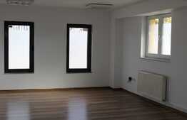 Spatiu birouri, 80 mp, Calea Turzii