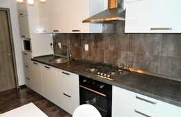 Apartament cu 2 camere, 55 mp, parcare , TOTUL NOU, prima inchiriere, zona strazii Eftimie Murgu