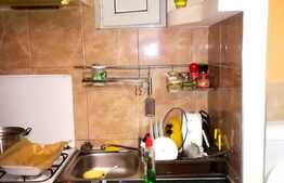 Apartament cu 1 camera, 30 mp ultracentral