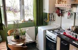 Garsoniera decomandata, 43 mp, mobilata si utilata! Zona strazii Stejarului