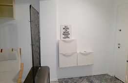 Apartament de inchiriat, 2 camere, 48 mp, totul nou, zona strazii Horea, Pet friendly.