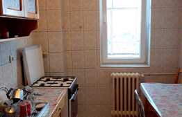 Apartament de inchiriat, 2 camere, 48 mp, zona strazii Constantin Brancusi