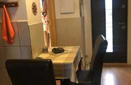 Garsoniera 30 mp, decomandata, gradina 40 mp, zona Pietei Mihai Viteazu