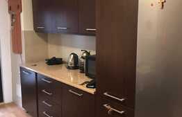 Garsoniera 30 mp, decomandata, gradina 40 mp, zona Pietei Mihai Viteazu