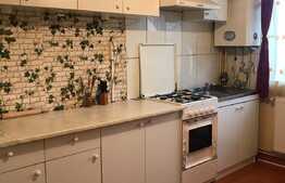 Casa de inchiriat, 64 mp, parcare, Pet Friendly, zona Ambient