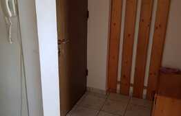 Apartament 2 camere, 48 mp, zona strazii Constantin Brancusi