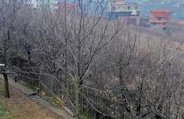 De vanzare casa individuala, 150 mp, teren 800 mp, front stradal 16 ml, zona Eugen Ionesco