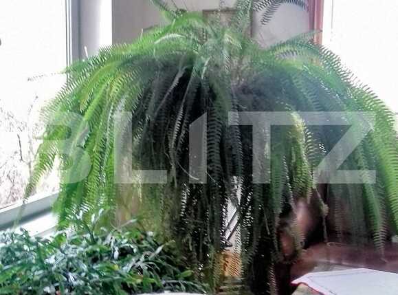 Casa de vânzare 4 camere Europa - 35664CV | BLITZ Cluj-Napoca | Poza7