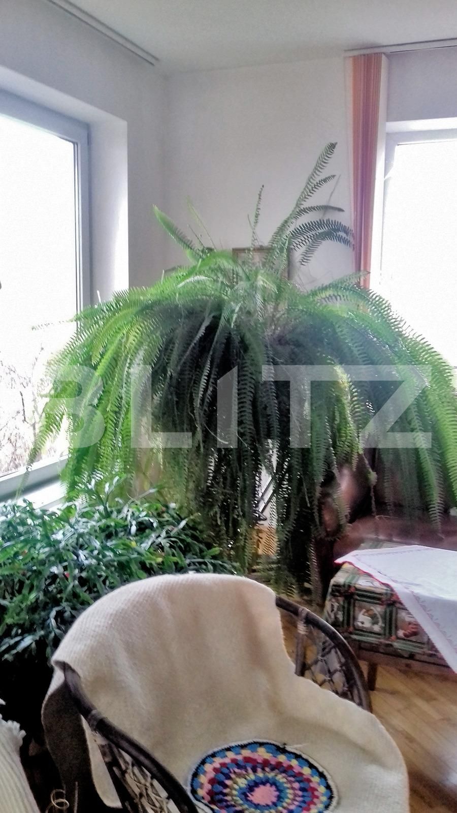 Casa de vânzare 4 camere Europa - 35664CV | BLITZ Cluj-Napoca | Poza7