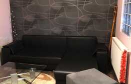 Apartament 2 camere, 40 mp, zona Stejarului