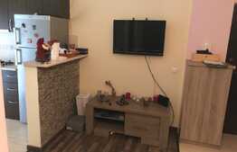 Apartament 2 camere, 40 mp, zona Stejarului
