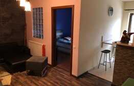 Apartament 2 camere, 40 mp, zona Stejarului